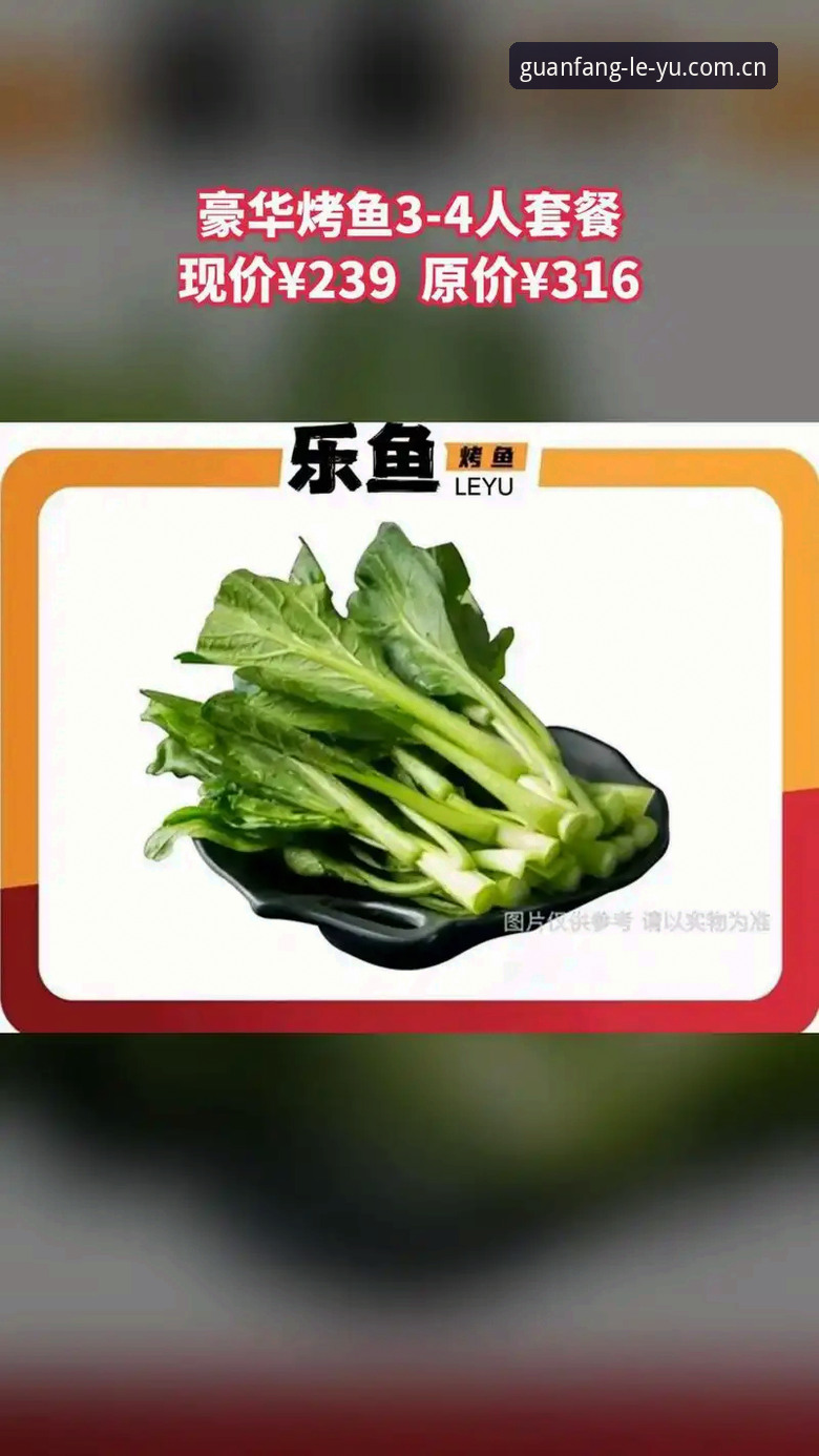 乐鱼最新版本对比：2024年功能升级与下载实操全解析